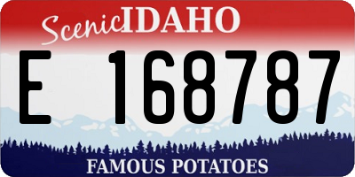 ID license plate E168787