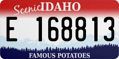 ID license plate E168813