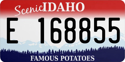ID license plate E168855
