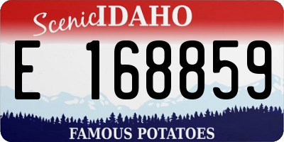 ID license plate E168859