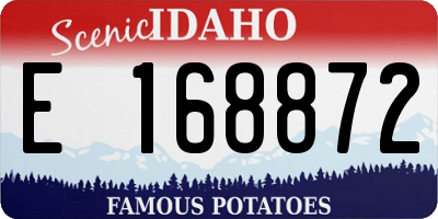 ID license plate E168872