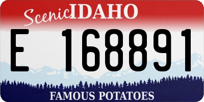 ID license plate E168891