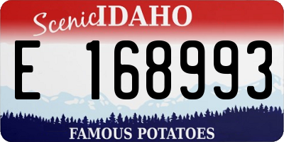 ID license plate E168993