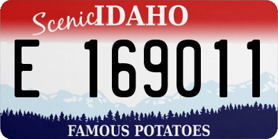 ID license plate E169011