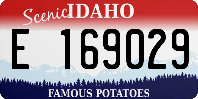 ID license plate E169029