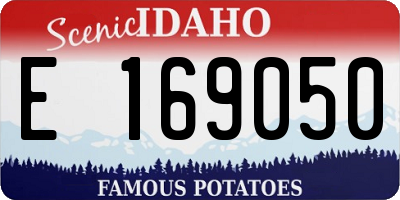 ID license plate E169050
