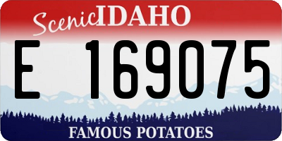 ID license plate E169075