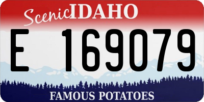 ID license plate E169079