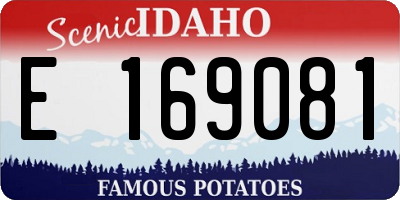 ID license plate E169081