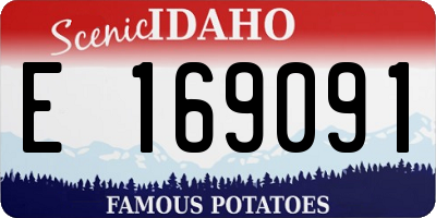 ID license plate E169091