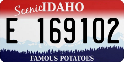 ID license plate E169102
