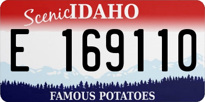 ID license plate E169110