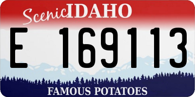 ID license plate E169113