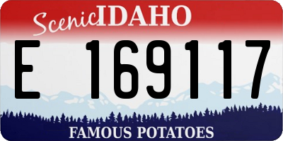 ID license plate E169117