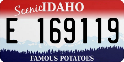 ID license plate E169119