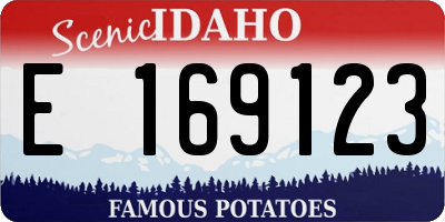 ID license plate E169123