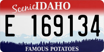 ID license plate E169134