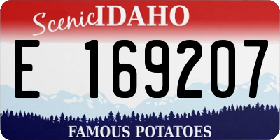 ID license plate E169207