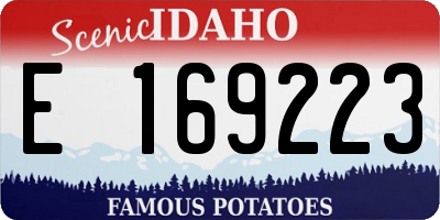 ID license plate E169223