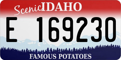 ID license plate E169230