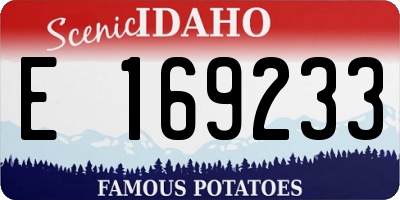 ID license plate E169233