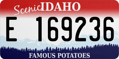 ID license plate E169236