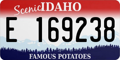 ID license plate E169238