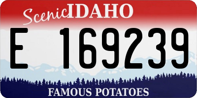 ID license plate E169239
