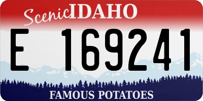 ID license plate E169241