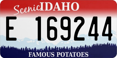 ID license plate E169244