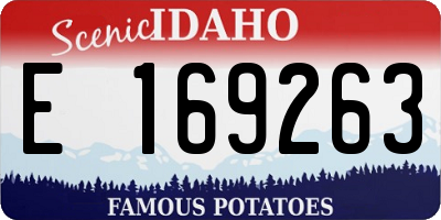 ID license plate E169263
