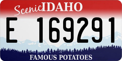 ID license plate E169291