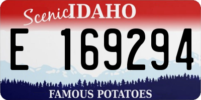ID license plate E169294