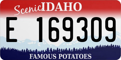 ID license plate E169309