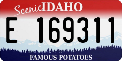 ID license plate E169311