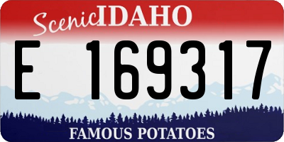 ID license plate E169317