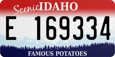 ID license plate E169334