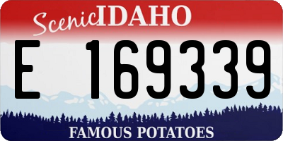 ID license plate E169339