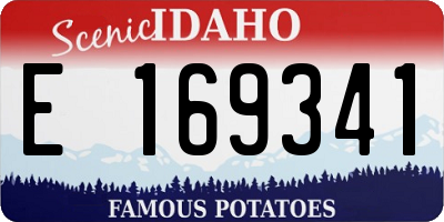 ID license plate E169341