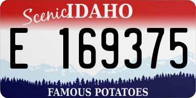ID license plate E169375