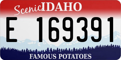 ID license plate E169391