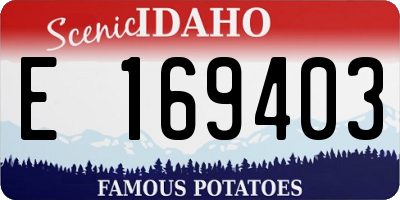 ID license plate E169403