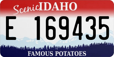 ID license plate E169435