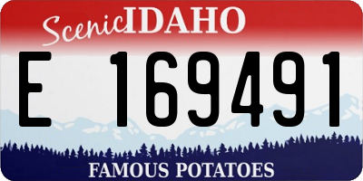 ID license plate E169491