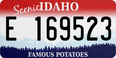 ID license plate E169523