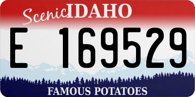 ID license plate E169529