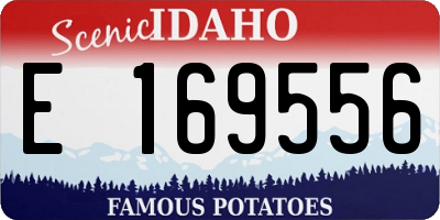ID license plate E169556