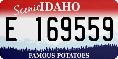 ID license plate E169559