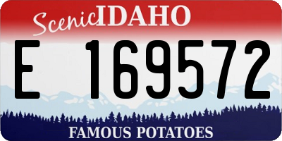 ID license plate E169572