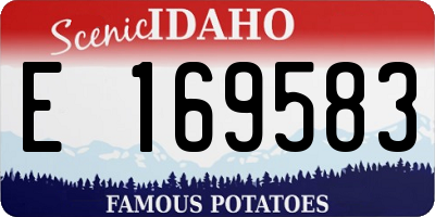 ID license plate E169583